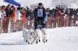 Lenk 2013